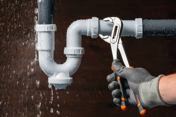 Professional Plumbing technician working in Thompsons, TX